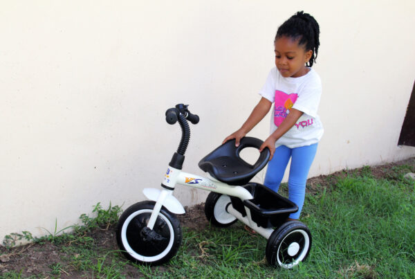 TRICYCLE - Image 2